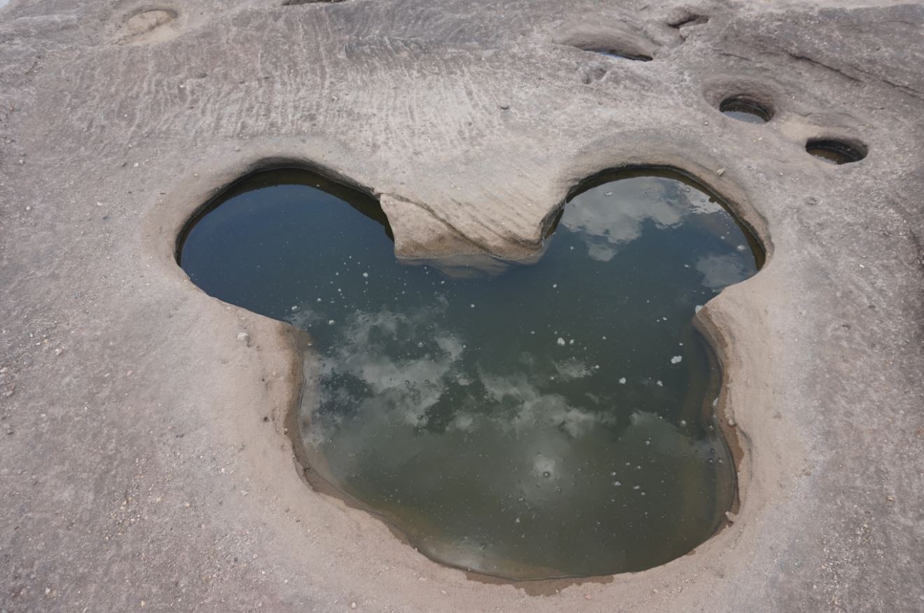 mickey.JPG