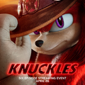 Knuckles sorozat