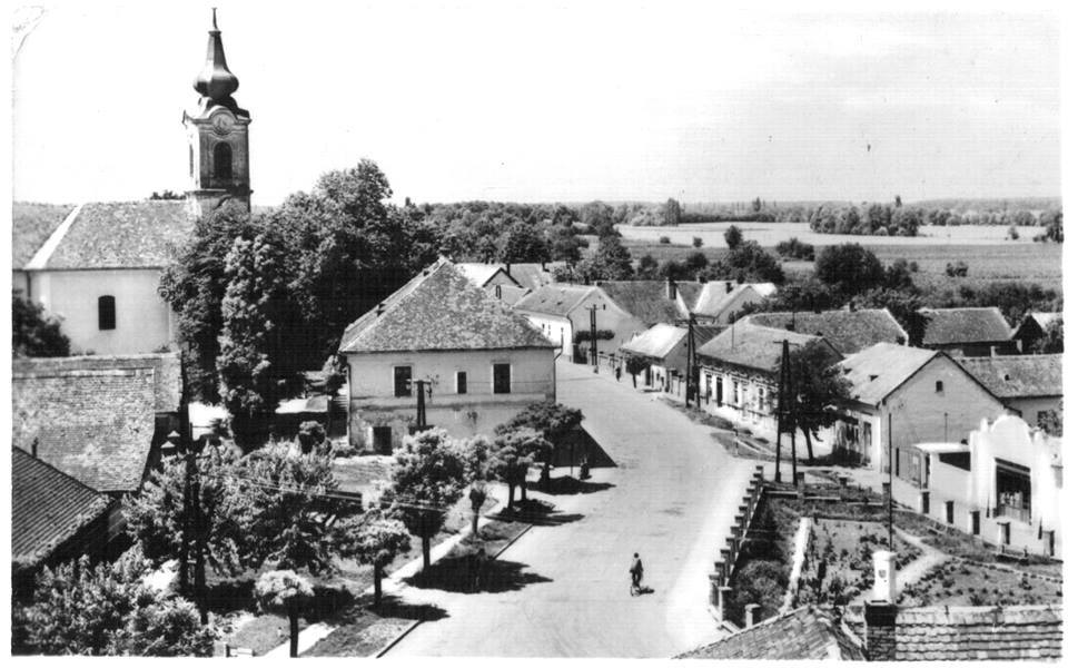 A református templom tornyából készült kép, 50-es évek<br />