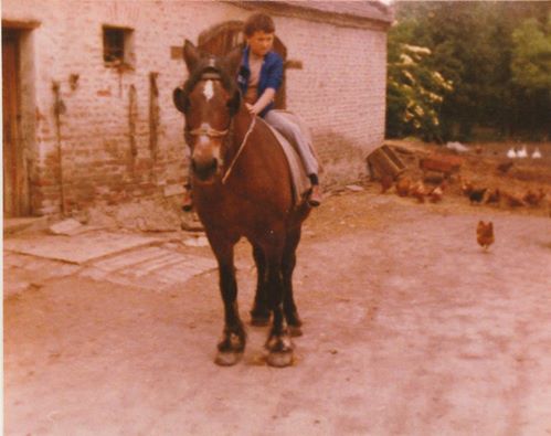 Egy zalátai huszár (jómagam) 1983-ból, nagynéném Manci nevű lován