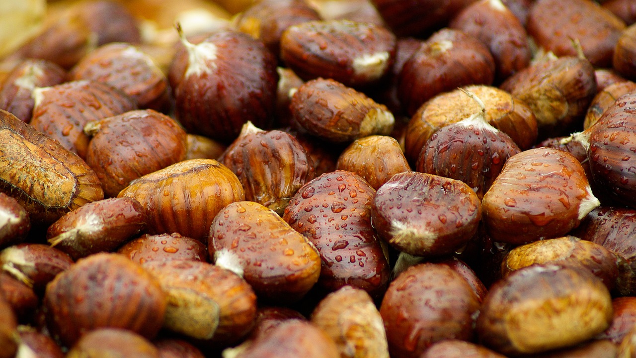 chestnuts-994138_1280.jpg