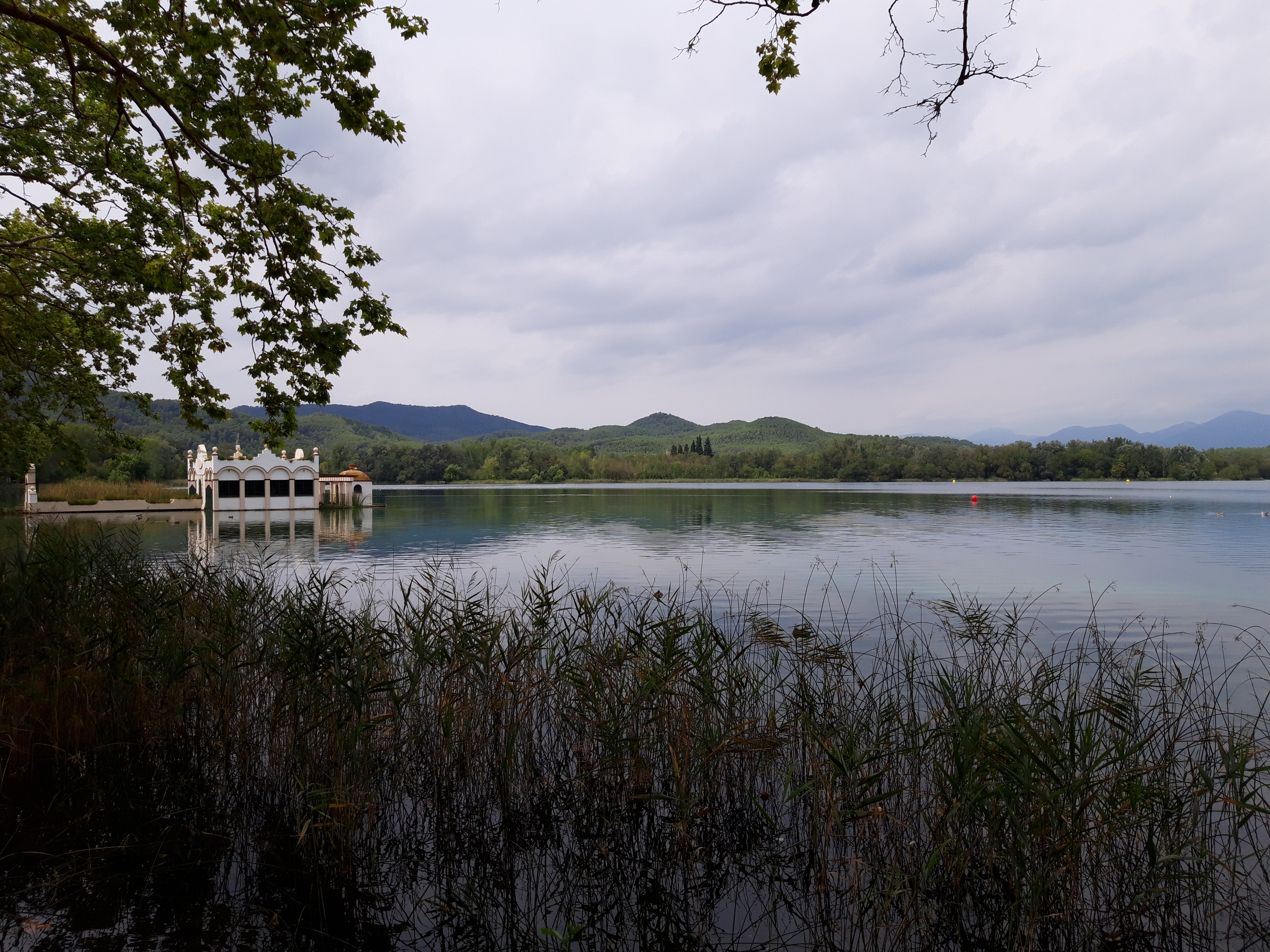 20180830_144747_banyoles_to.jpg