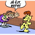 GARFIELD: Házon kívül (16. rész)