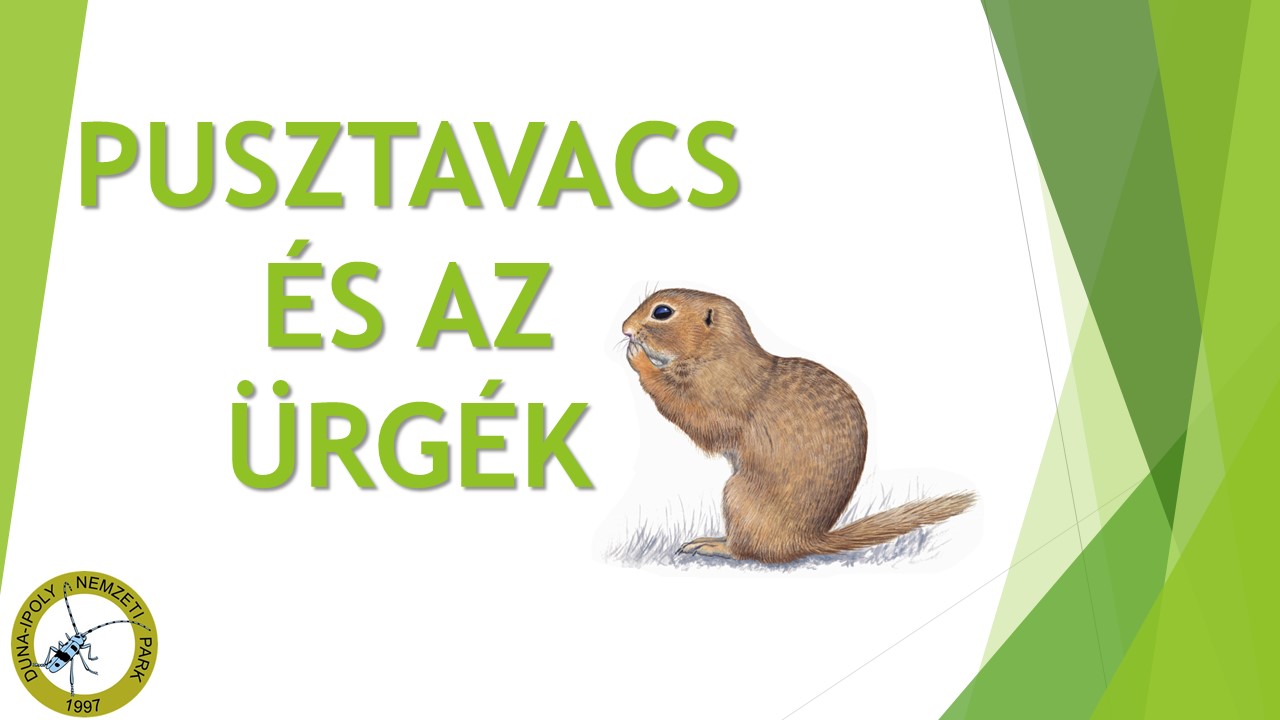 pusztavacs_urge_bt_op.jpg