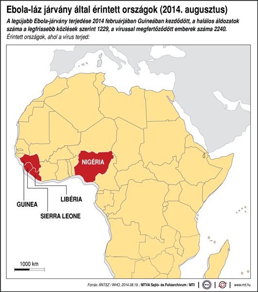 Ebola-láz.jpg
