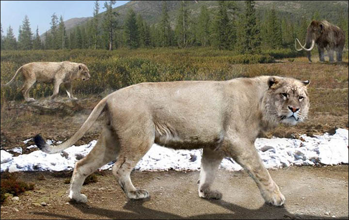 inside_lion_and_mammoth_drawing.jpg