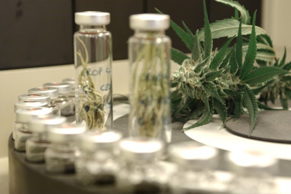 kannabidiol-600x400.jpg