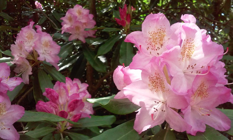 20160506_150019_resize.jpg