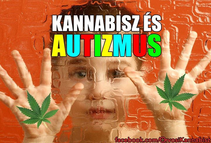 kannabisz es autizmus.jpg