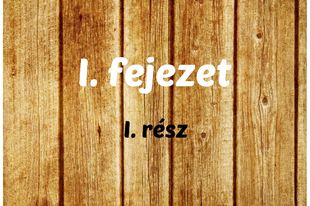 I. fejezet - I. rész