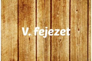 V. fejezet