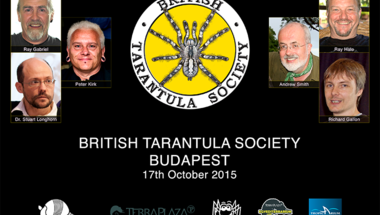 British Tarantula Society Budapest 2015 madárpók szeminárium