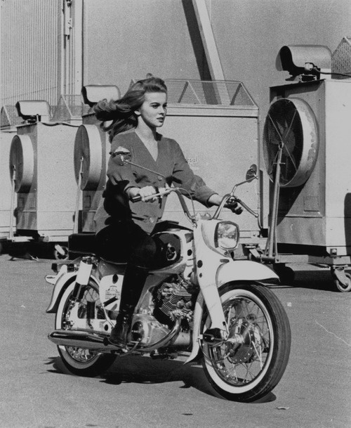 ann-margret-1964-honda-dream.jpg