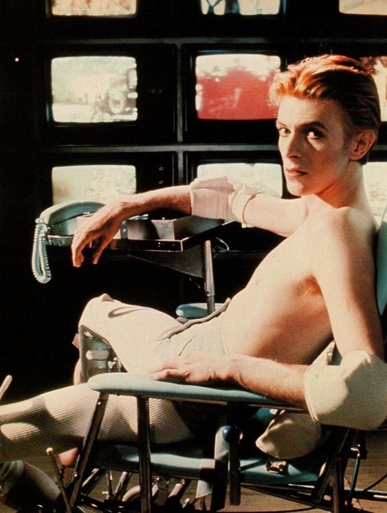 bowie_46.jpg