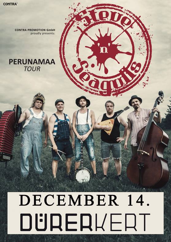 flyer_steve_n_seagulls_2017.jpg