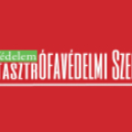 Védelem Katasztrófavédelmi Szemle – 2022. évi számvetés