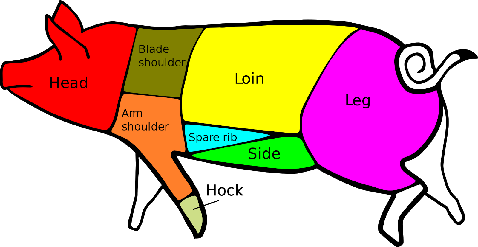 sertes_reszei_angol.png
