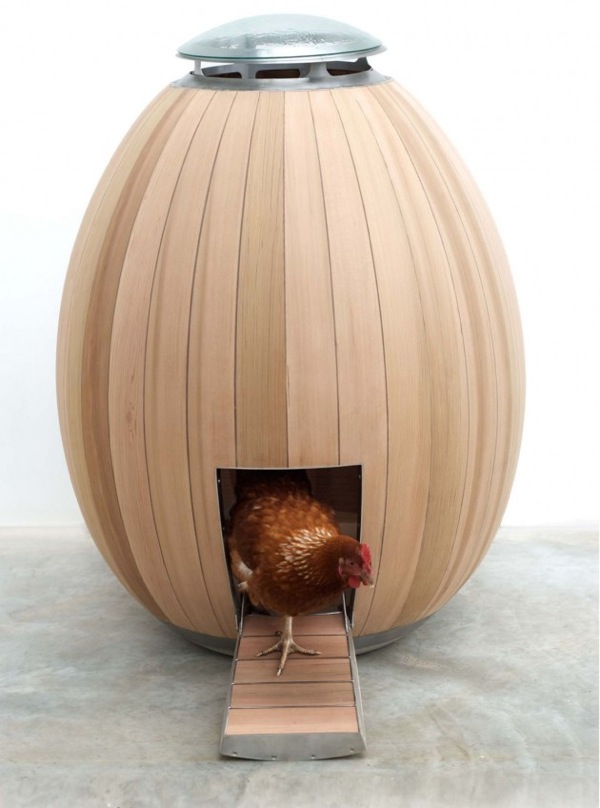 hen house1.jpg