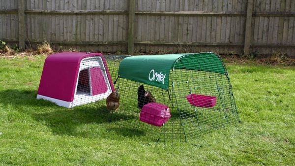 hen house5_1.jpg