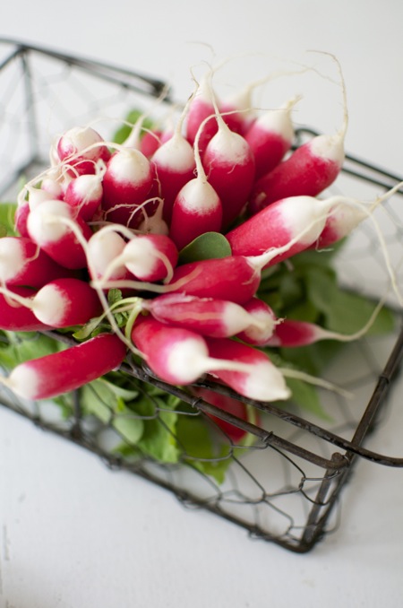 radish2.jpg