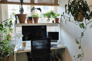 A pszichológusok szerint nem mindegy, hol tanulunk: diákok mentális egészségét is befolyásolja az albérlet