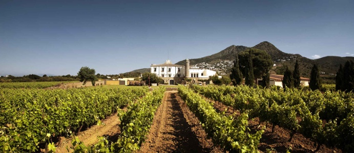 winery-roses-spain.jpg