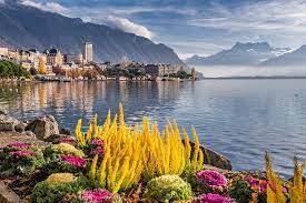 montreux.jpeg