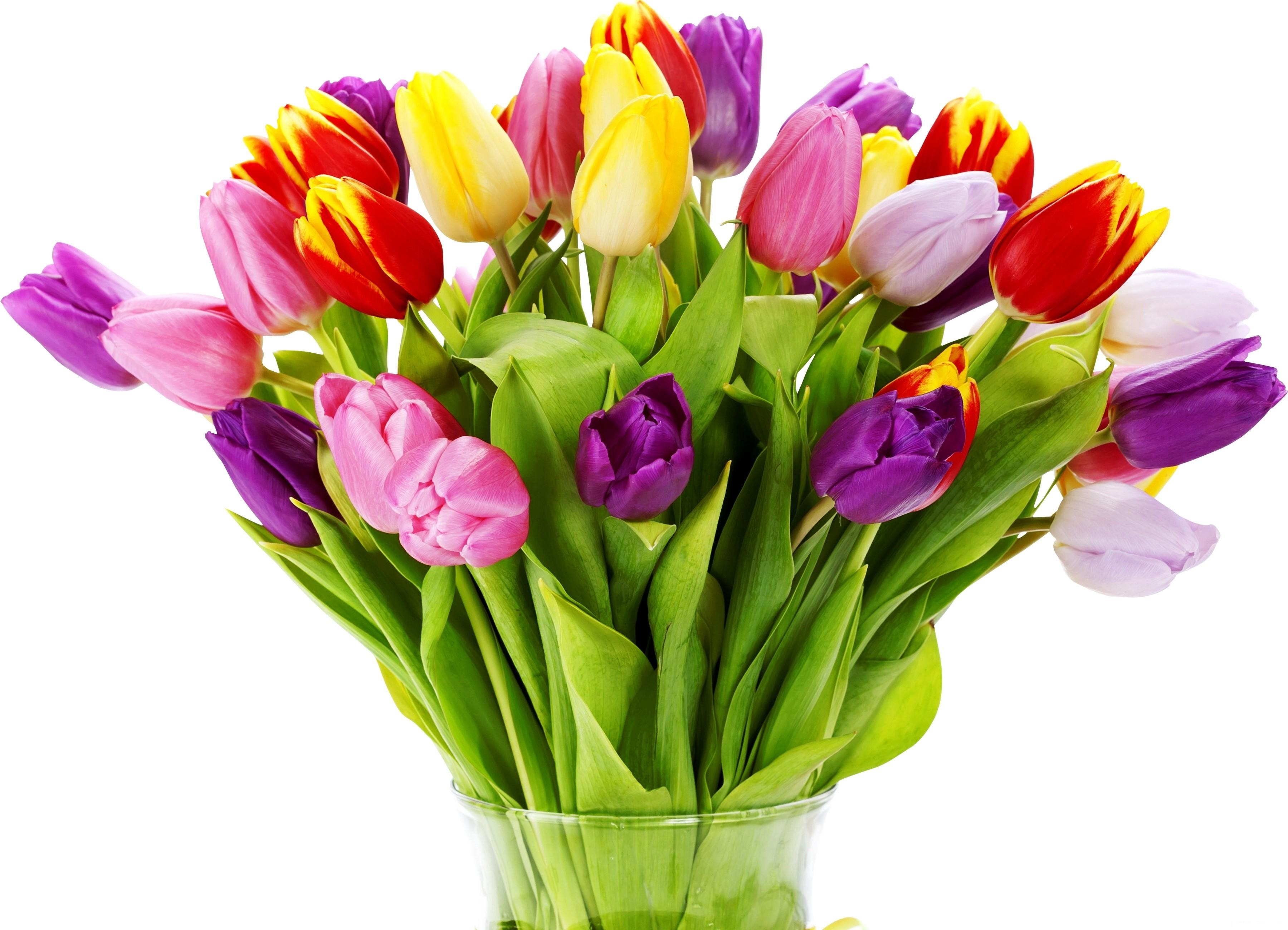 tulips-bouquet.jpg