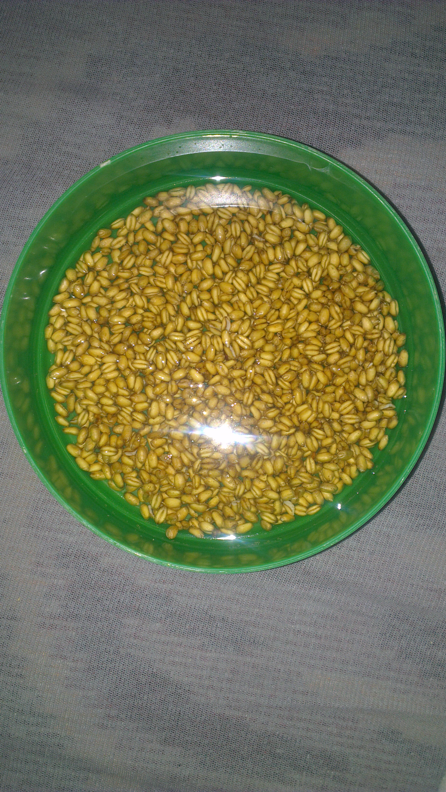 imag0097.jpg