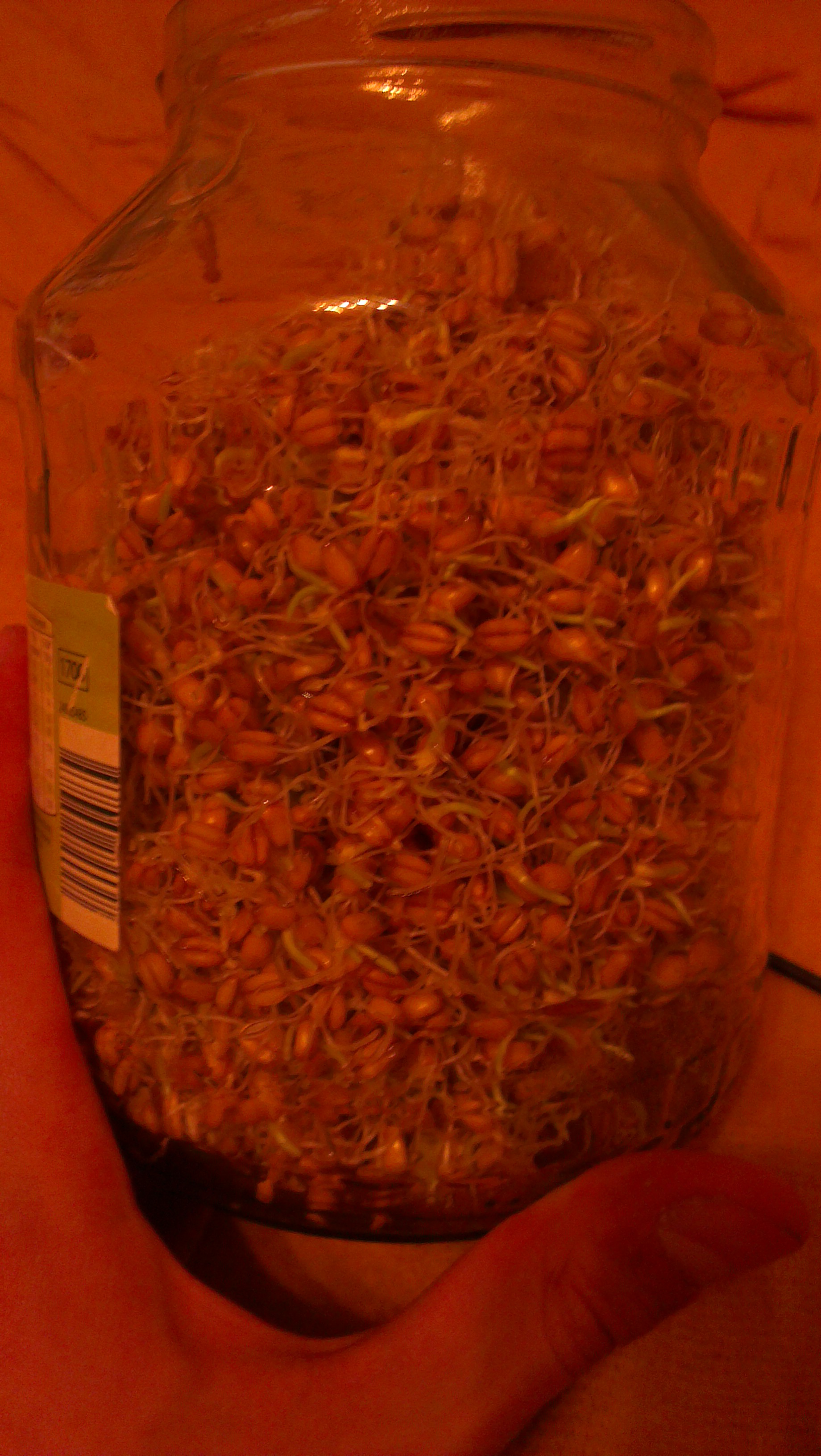 imag0102.jpg