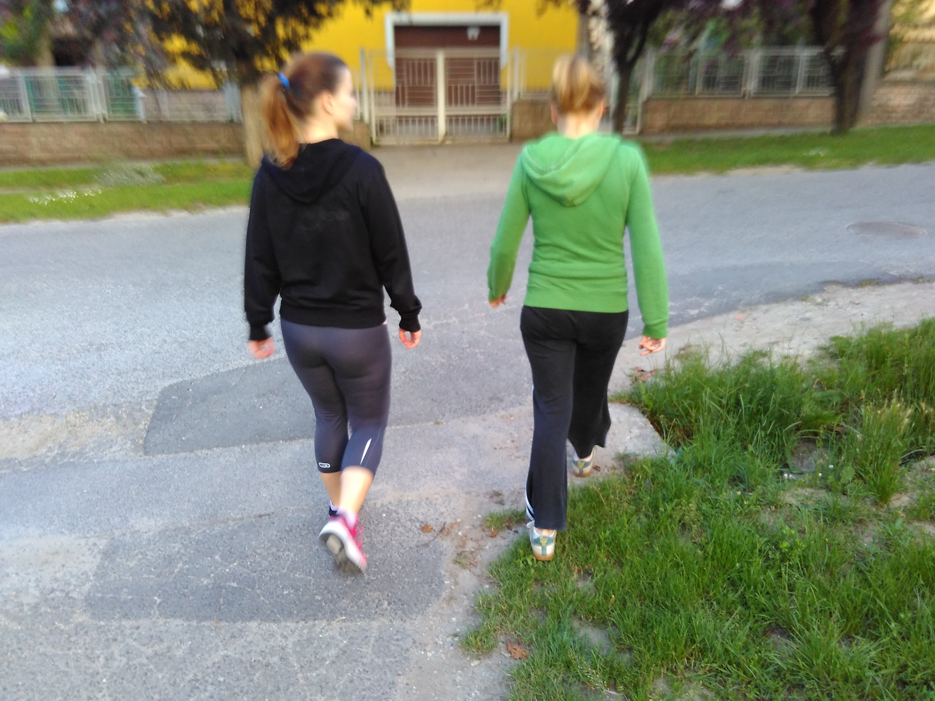 A segítőtársaim (így könnyű)