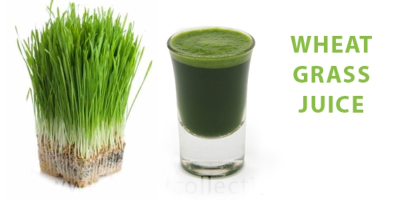 wheatgrassjuice.jpg