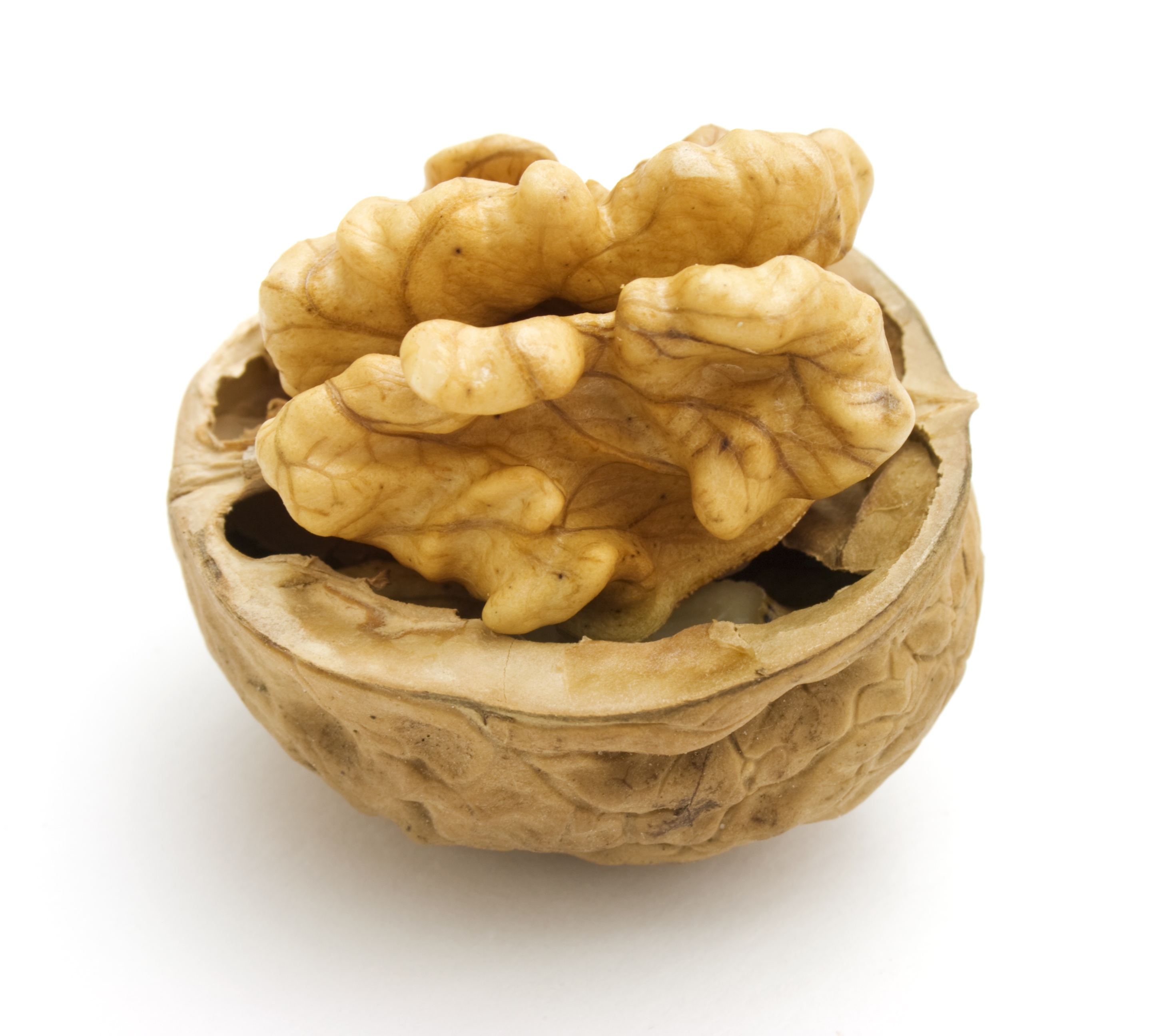walnut-copy.jpg