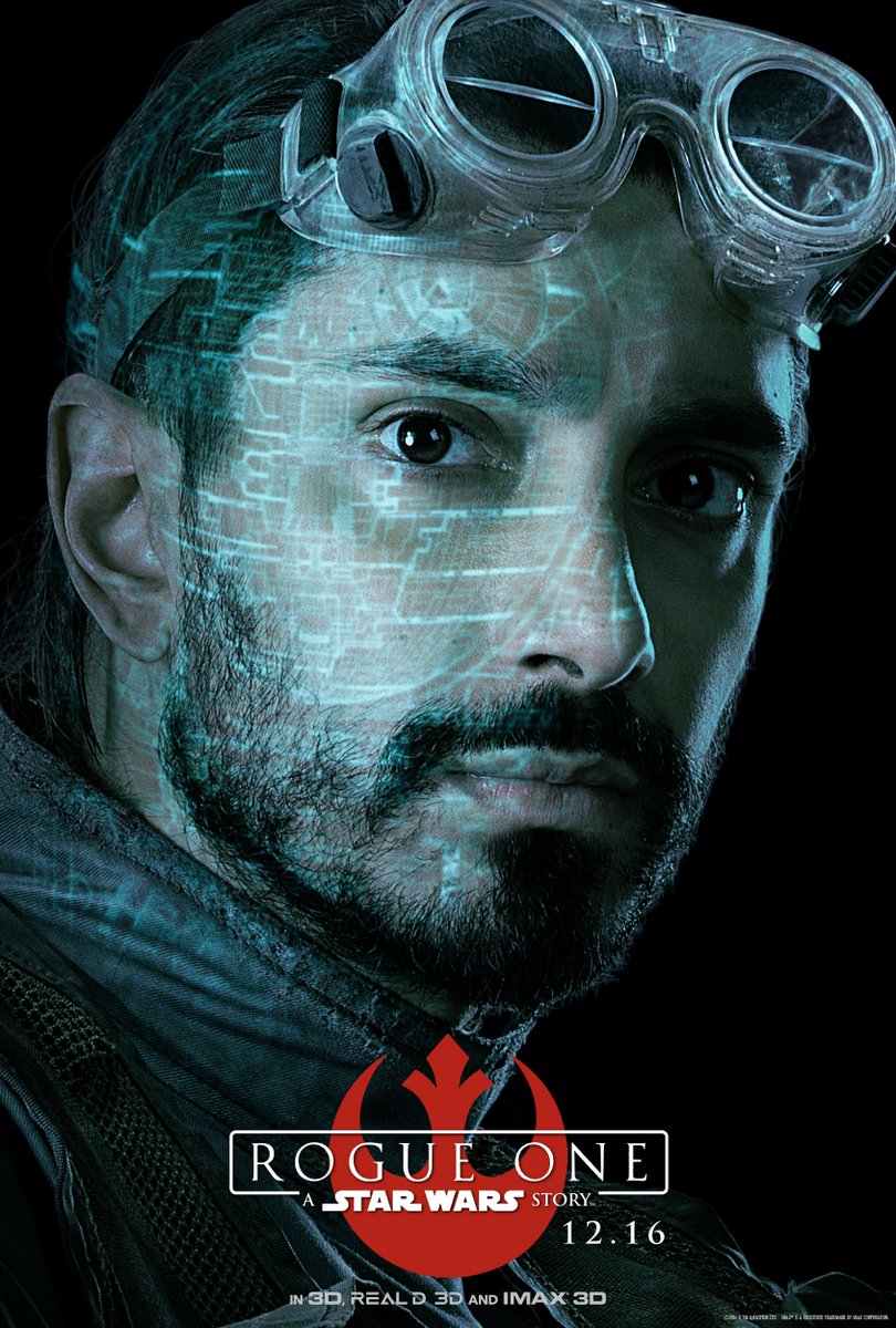 Bodhi Rook (Riz Ahmed) a csapat pilótája. Tapasztalt pilóta, aki bármit elvezet. Kissé lobbanékony természet, de a csapatban mindenki az ő technikai tudására támaszkodik.