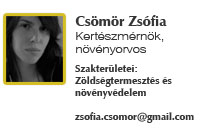 Csomor Zsofia