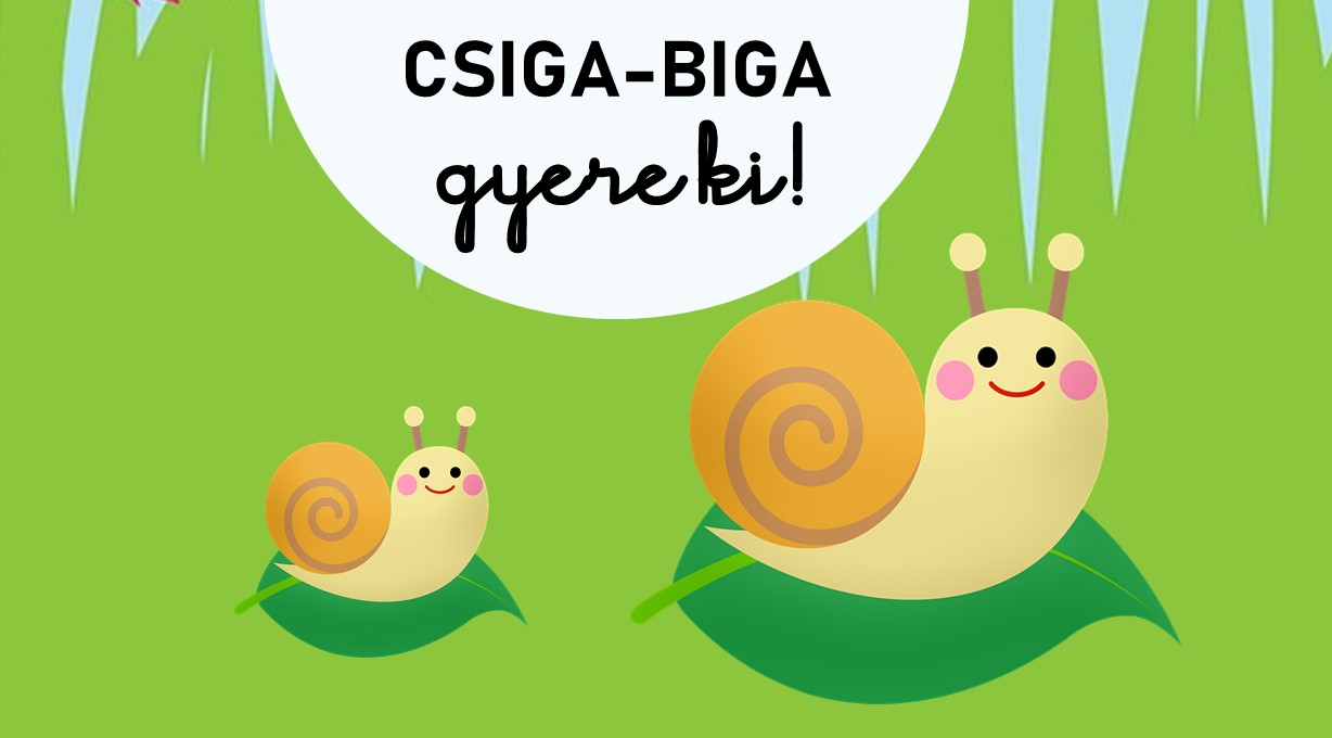 2021-05-13_csiga-biga.jpg