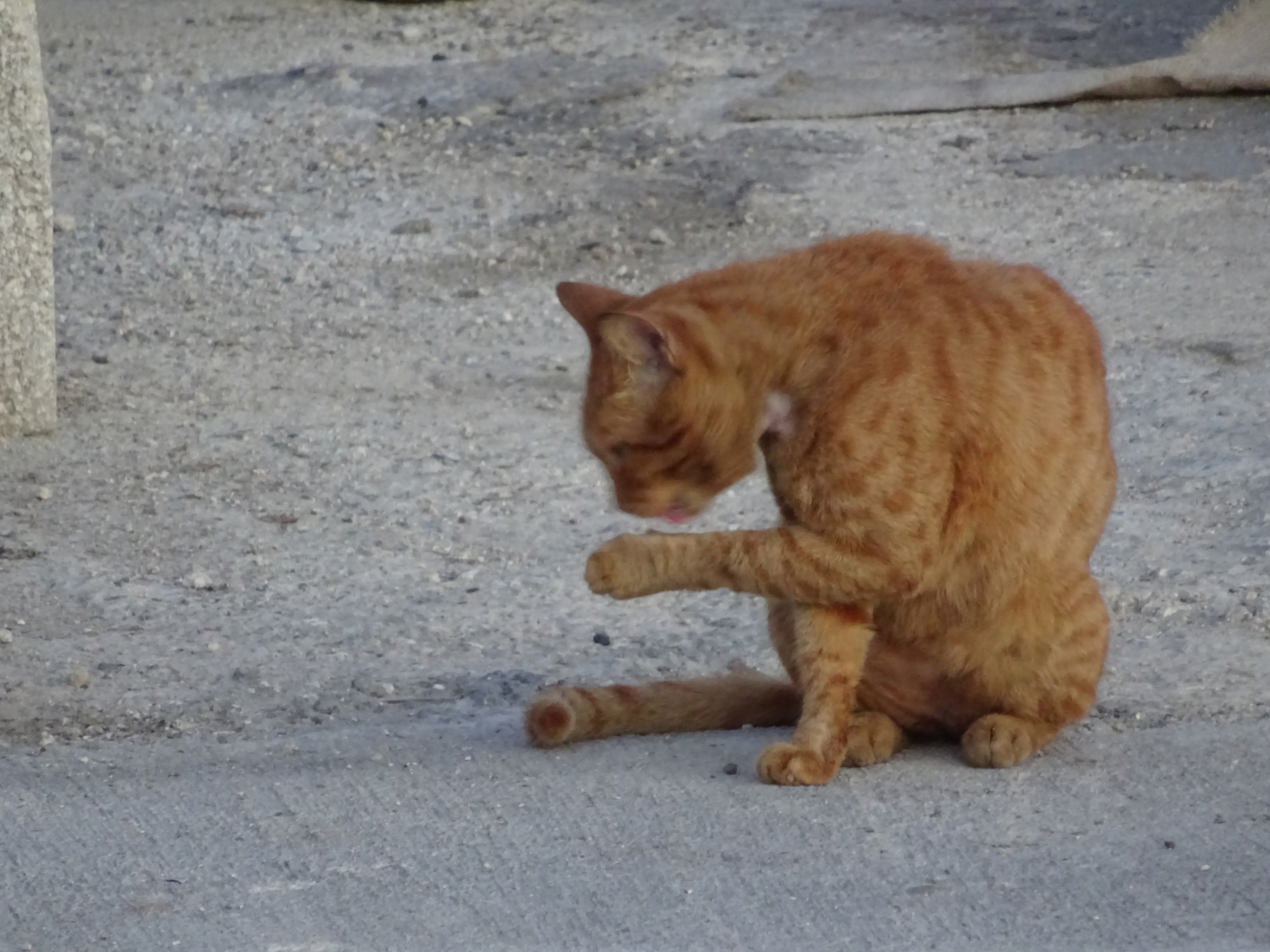 maltrip_d03s16_marsaxlokk_019.jpg