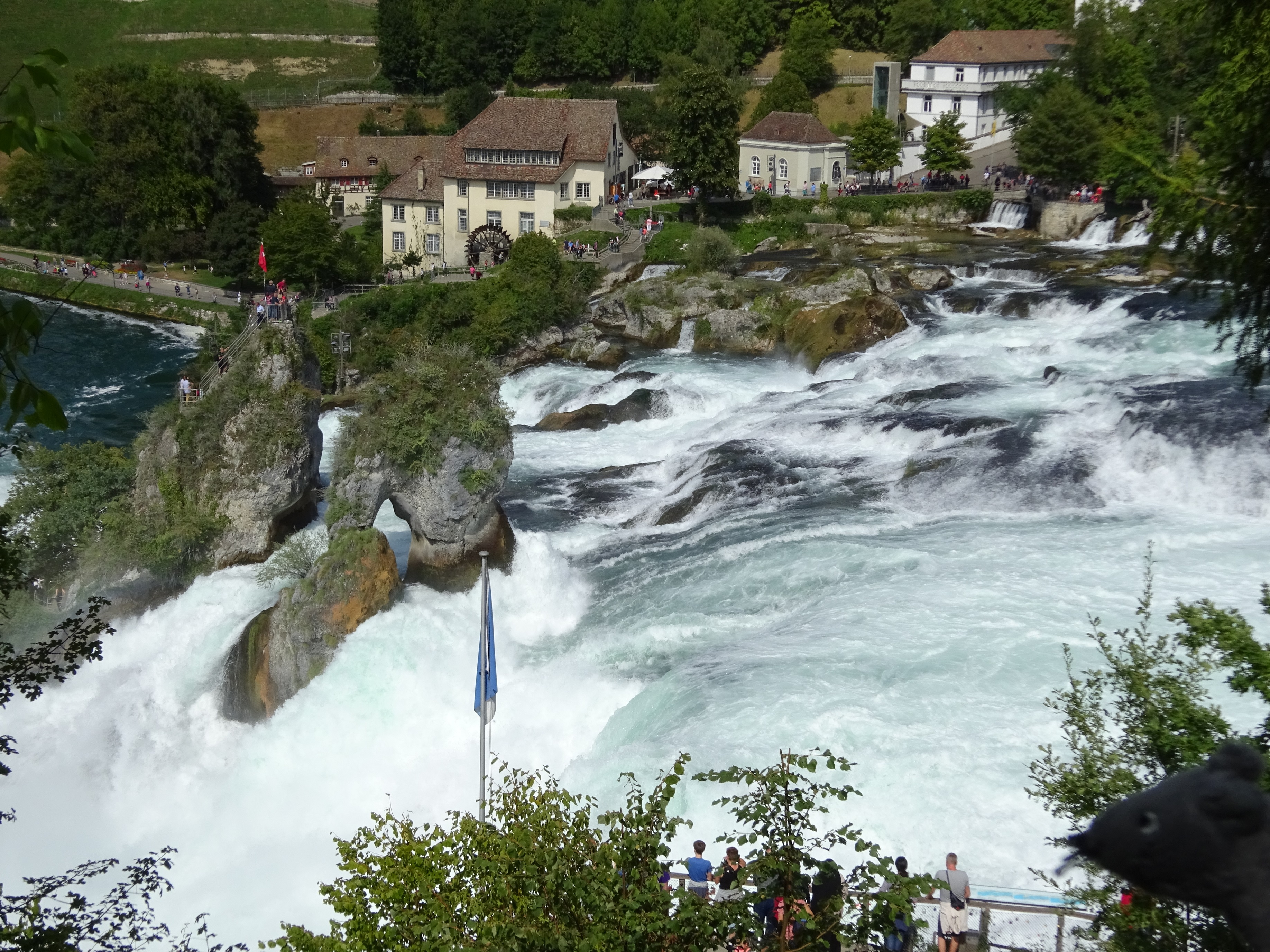 8-03_rhein_falls_p012.JPG