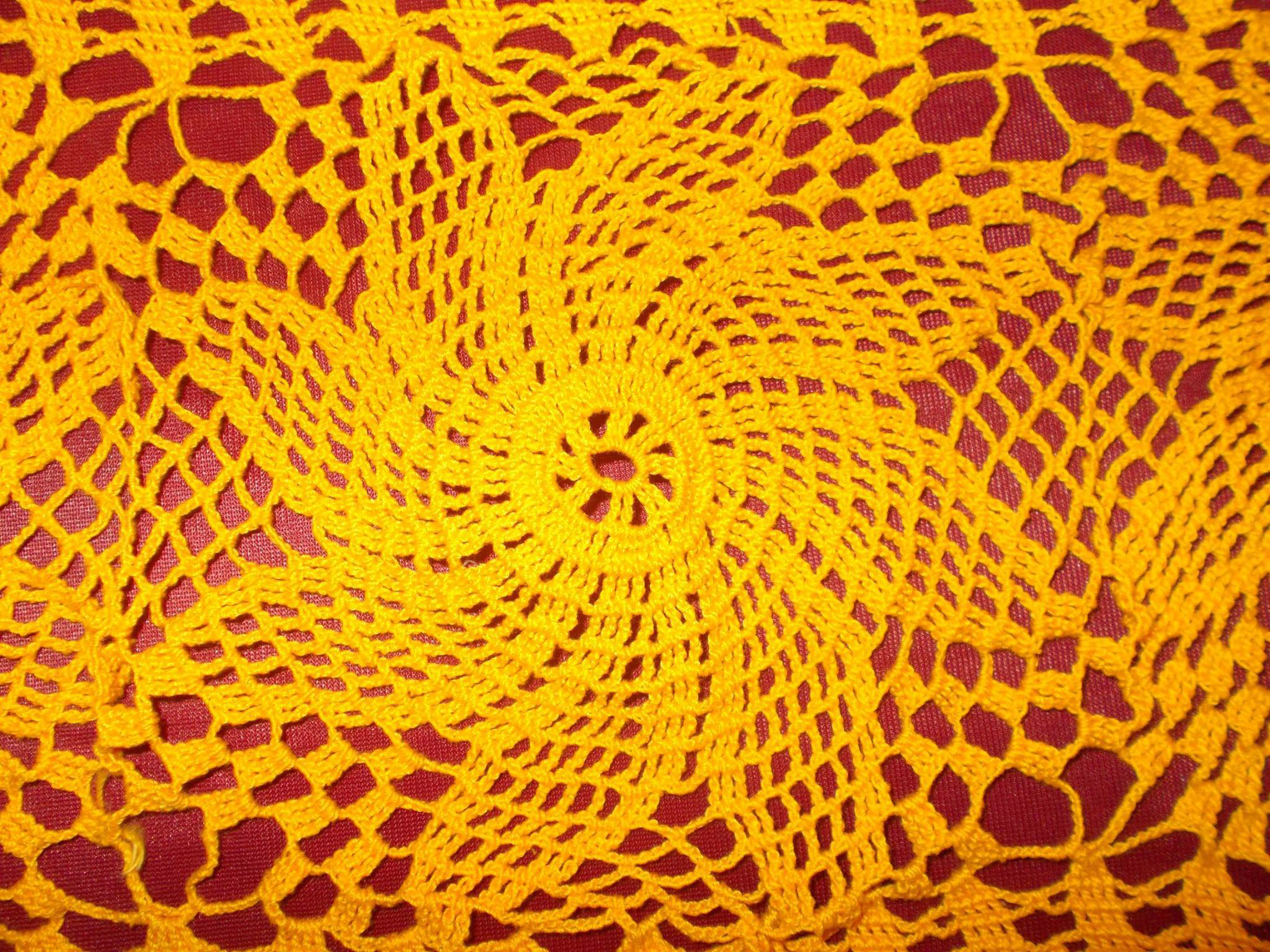12754996_1004319399638017_1950708990_o.jpg