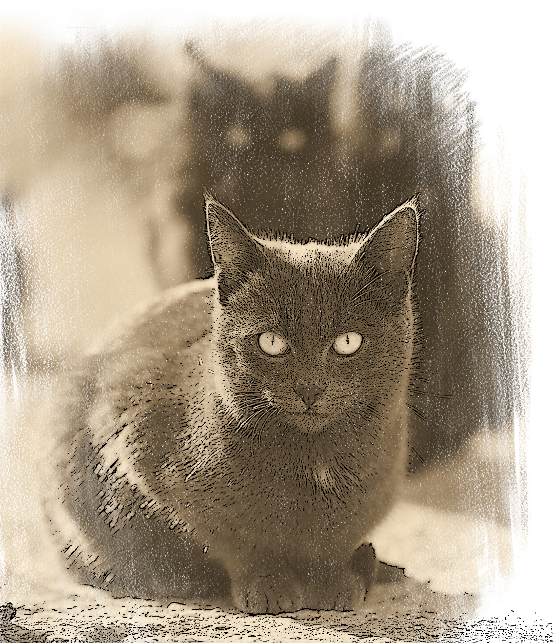 depositphotos_38756739_w.png