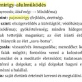 Kezdetek
