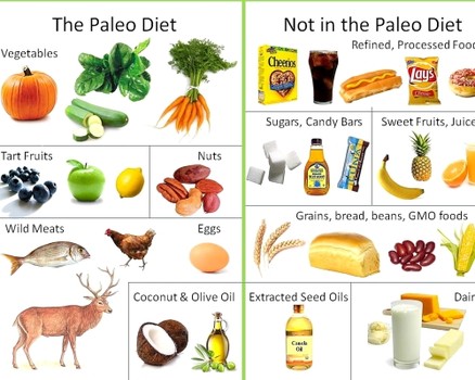 paleo_noveny.jpg