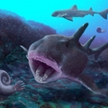 A jura ősi tengereiben "zúzott" a cápa