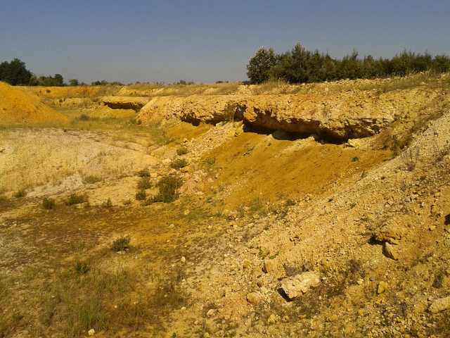 Egy ősmaradvány-lelőhely felemelkedése és bukása