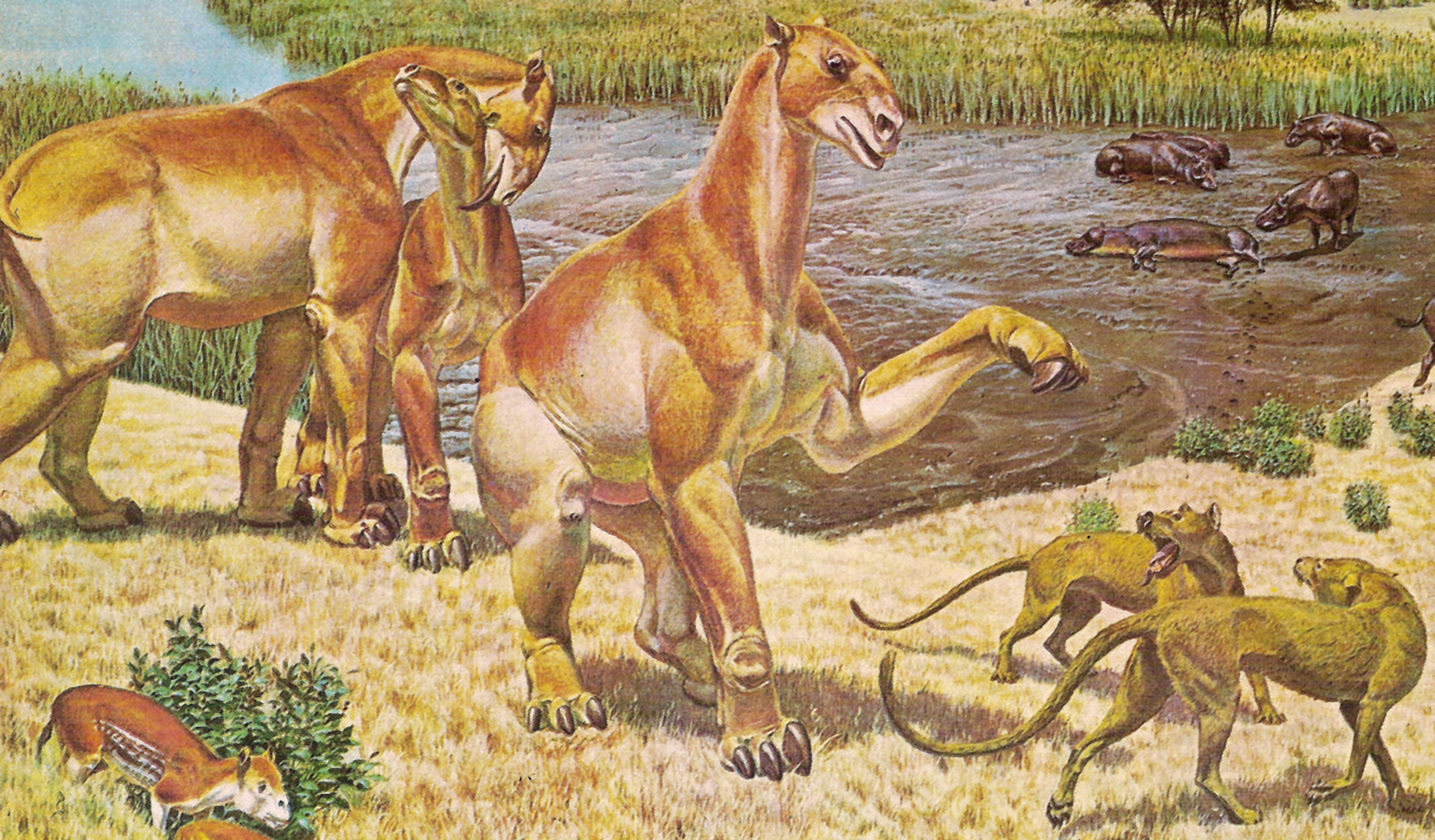 moropus_and_daphoenus.jpg