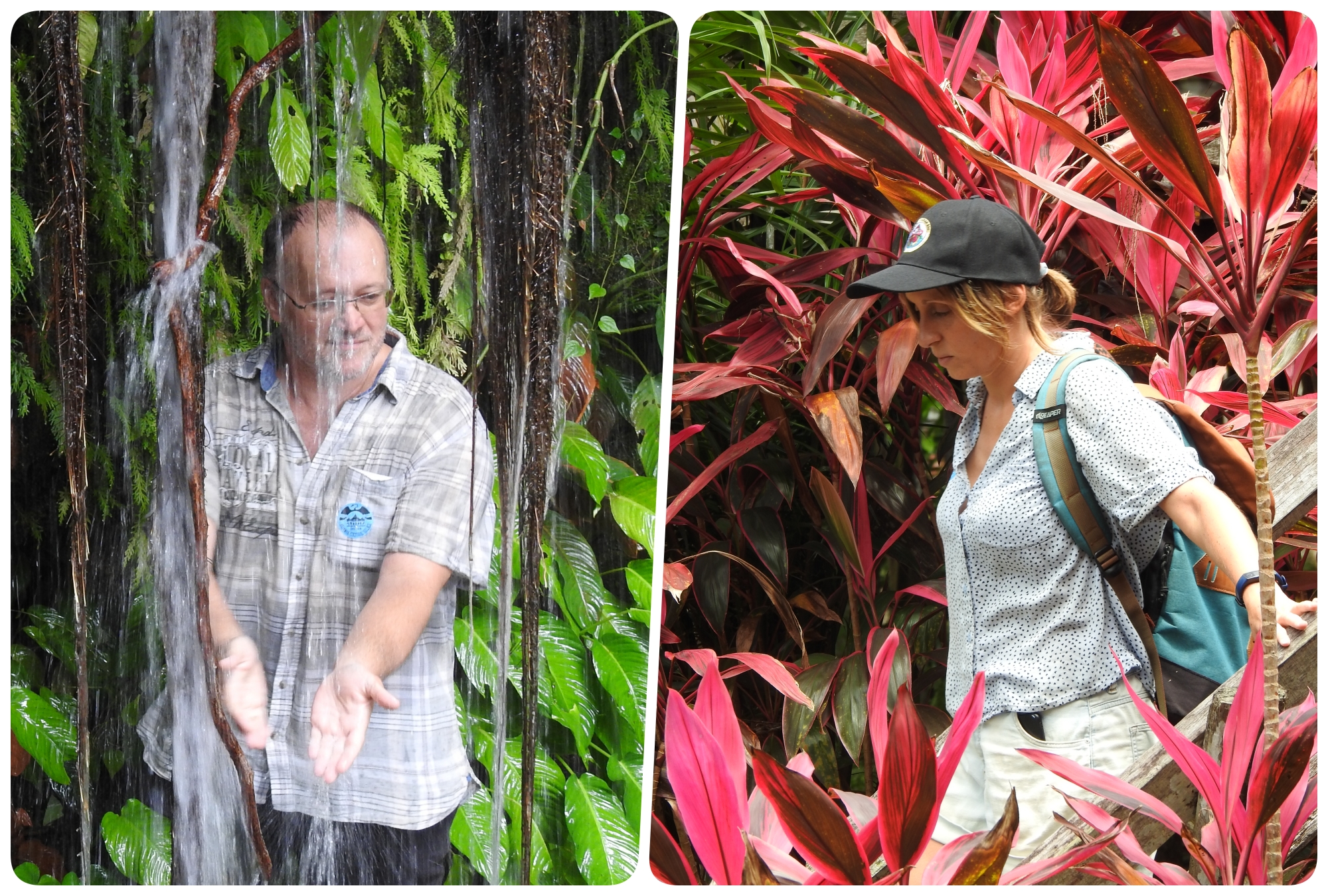 szs_ve_borneo_collage.jpg