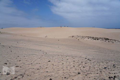 corralejo_5.JPG