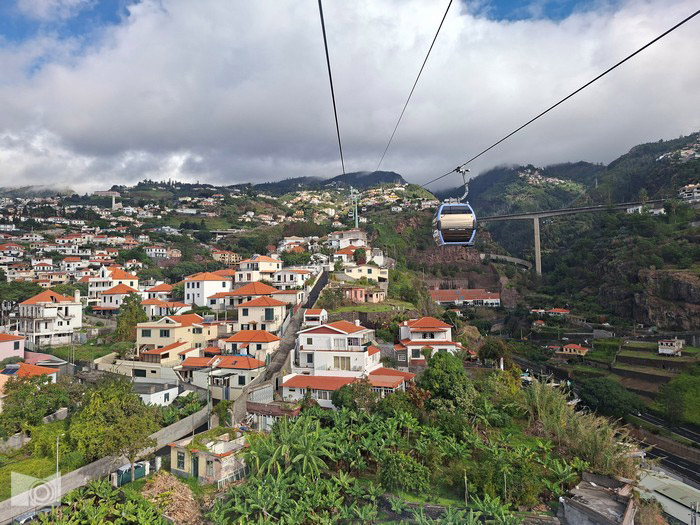funchal_13.jpg