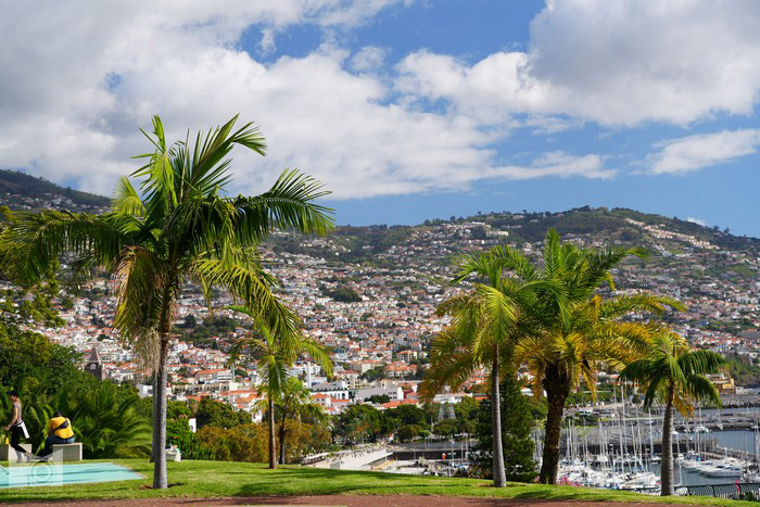 funchal_156.JPG