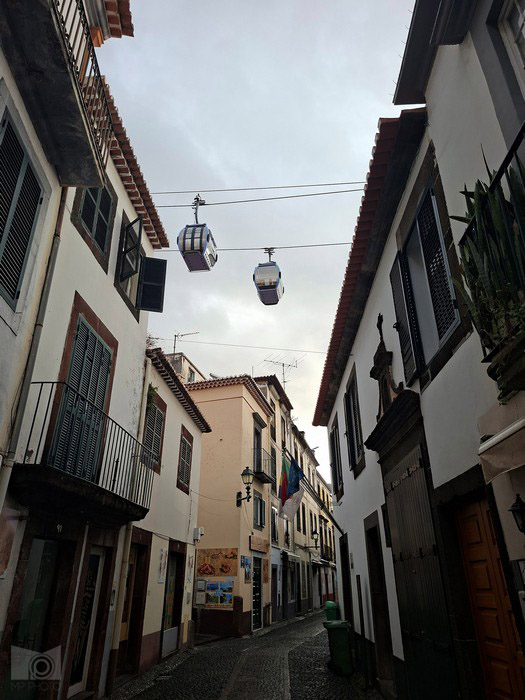 funchal_8.jpg